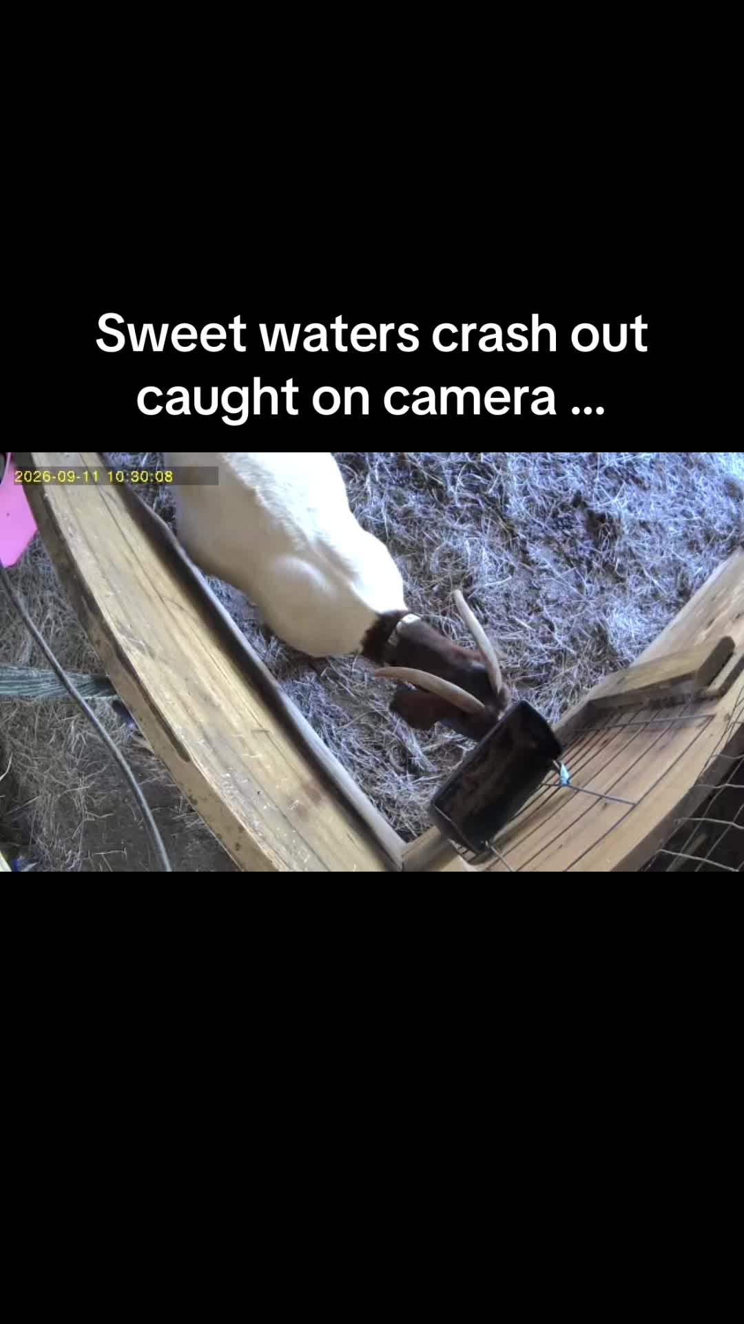 @Sarah ;)