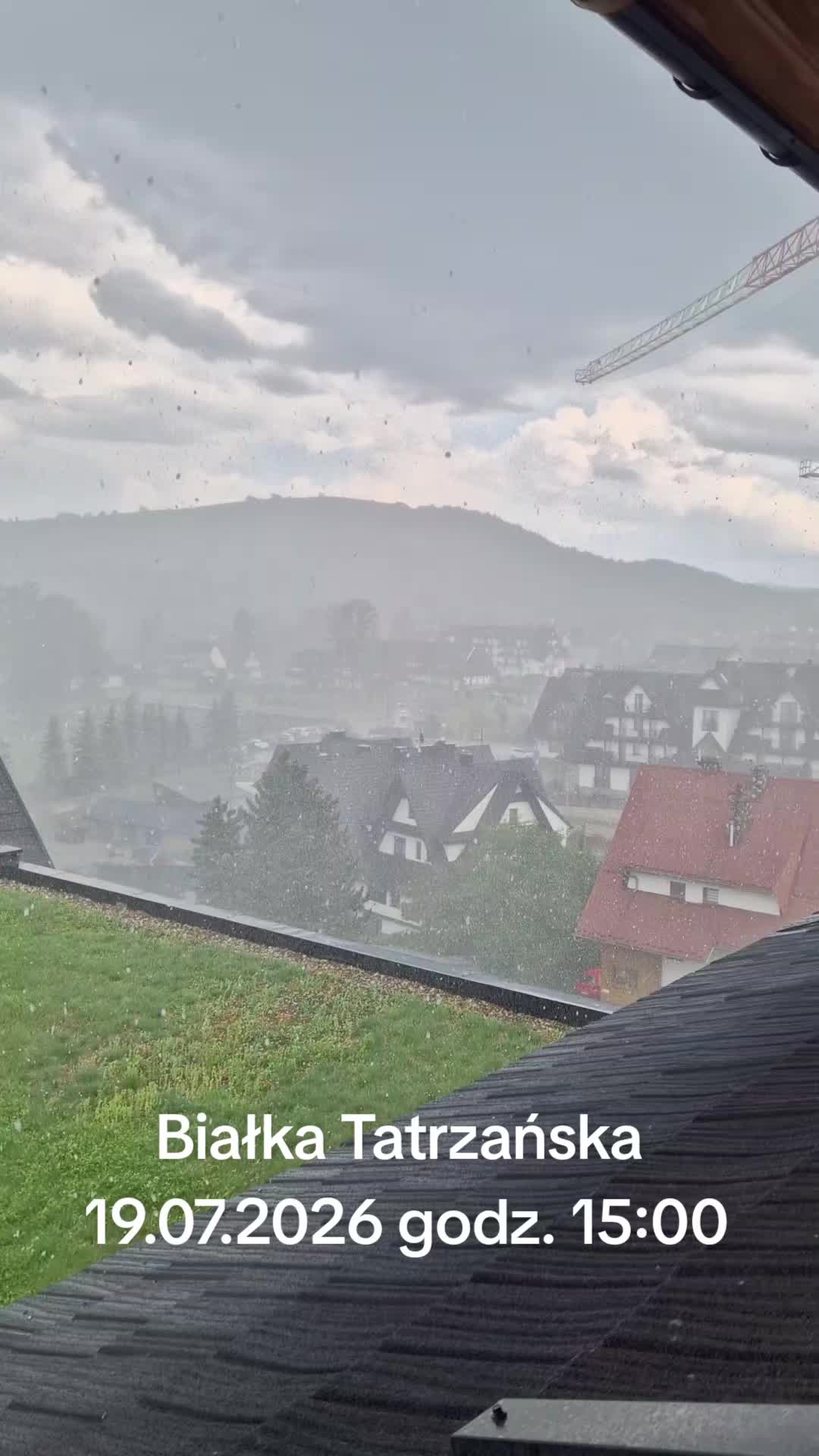 @_dzikiwschod_