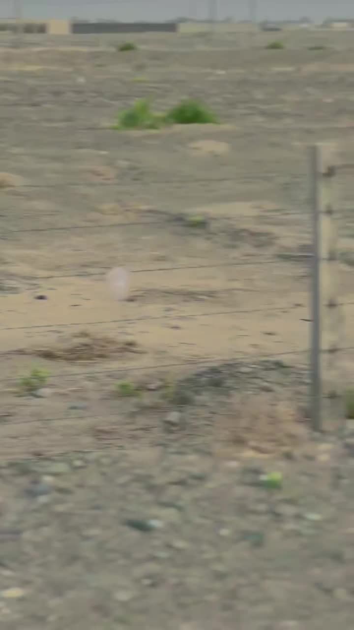 @🥂سردار 🥂