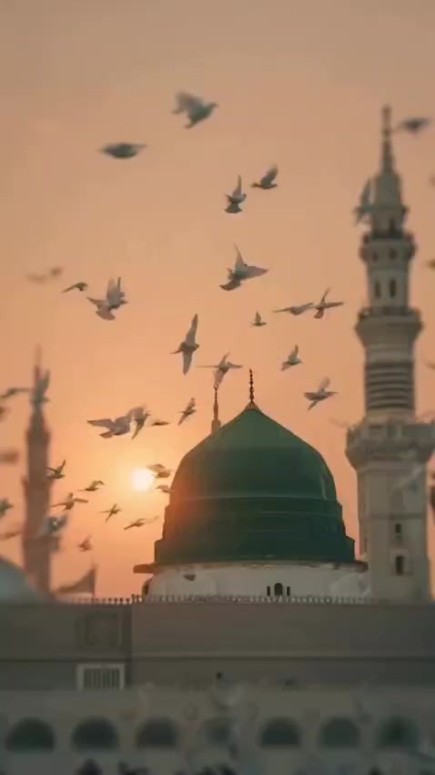 @Ishq Faqer لاھوتی حسینی 🖋📕