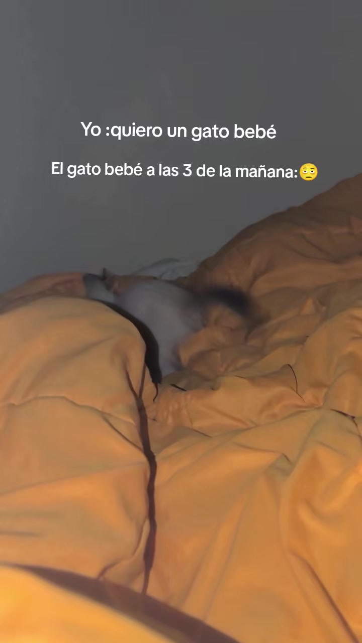 @Emy🦋