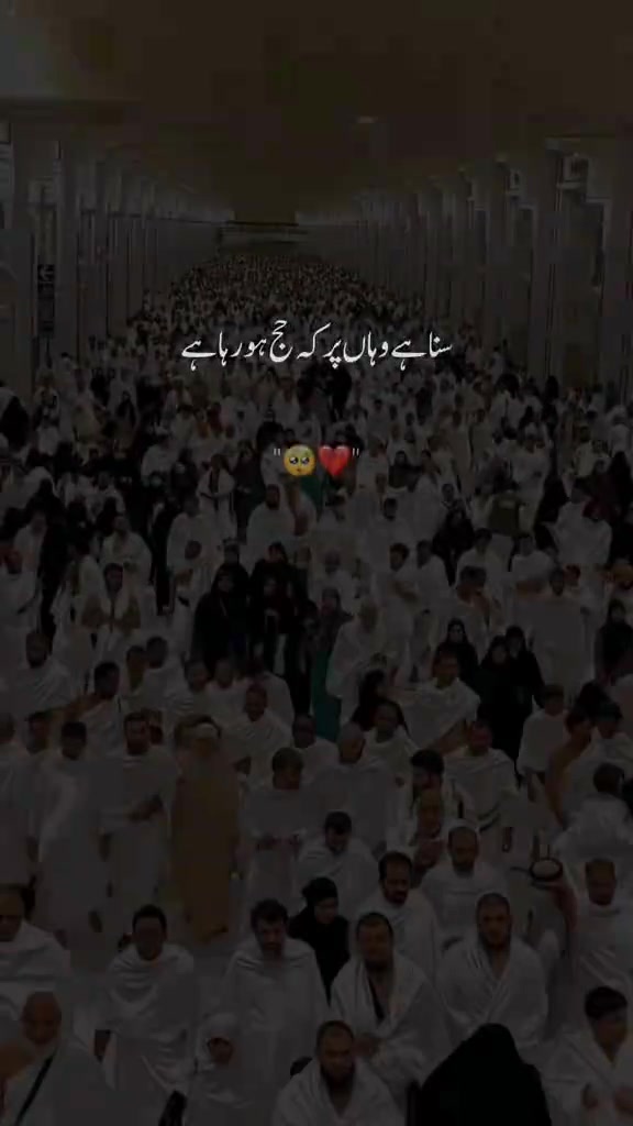@Muhammad Sayhaan👑
