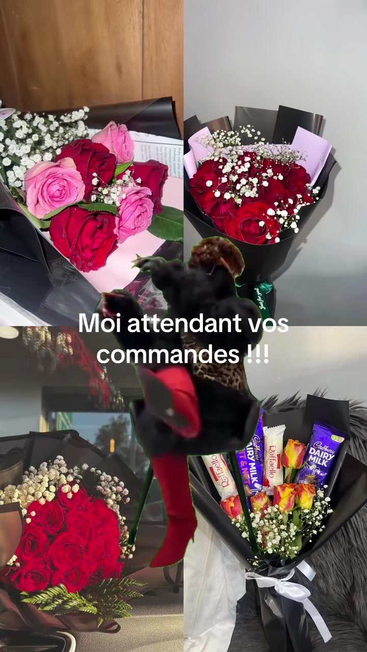 @Conte de f&eacute;es 🧚 ✨
