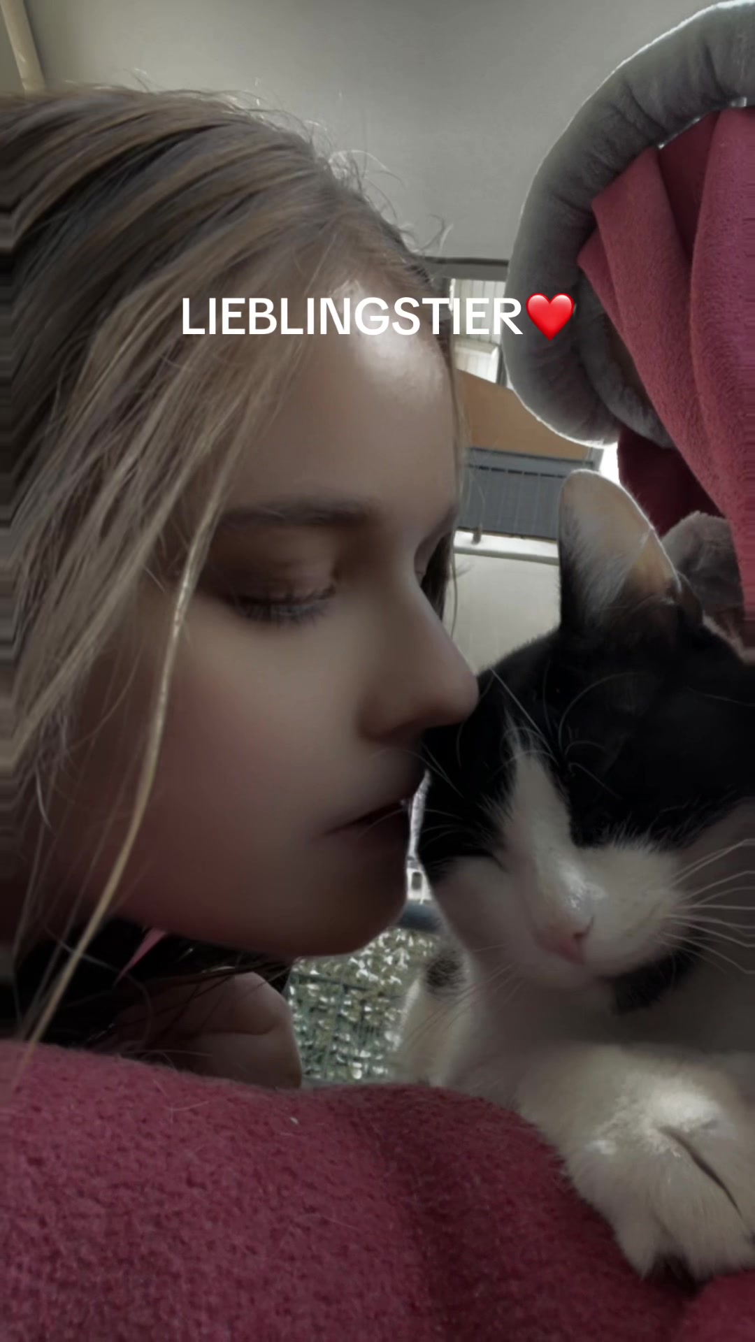 @20.4.2025_ P🕊️🐈&zwj;⬛💭