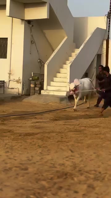 @HUZAIFA ✨