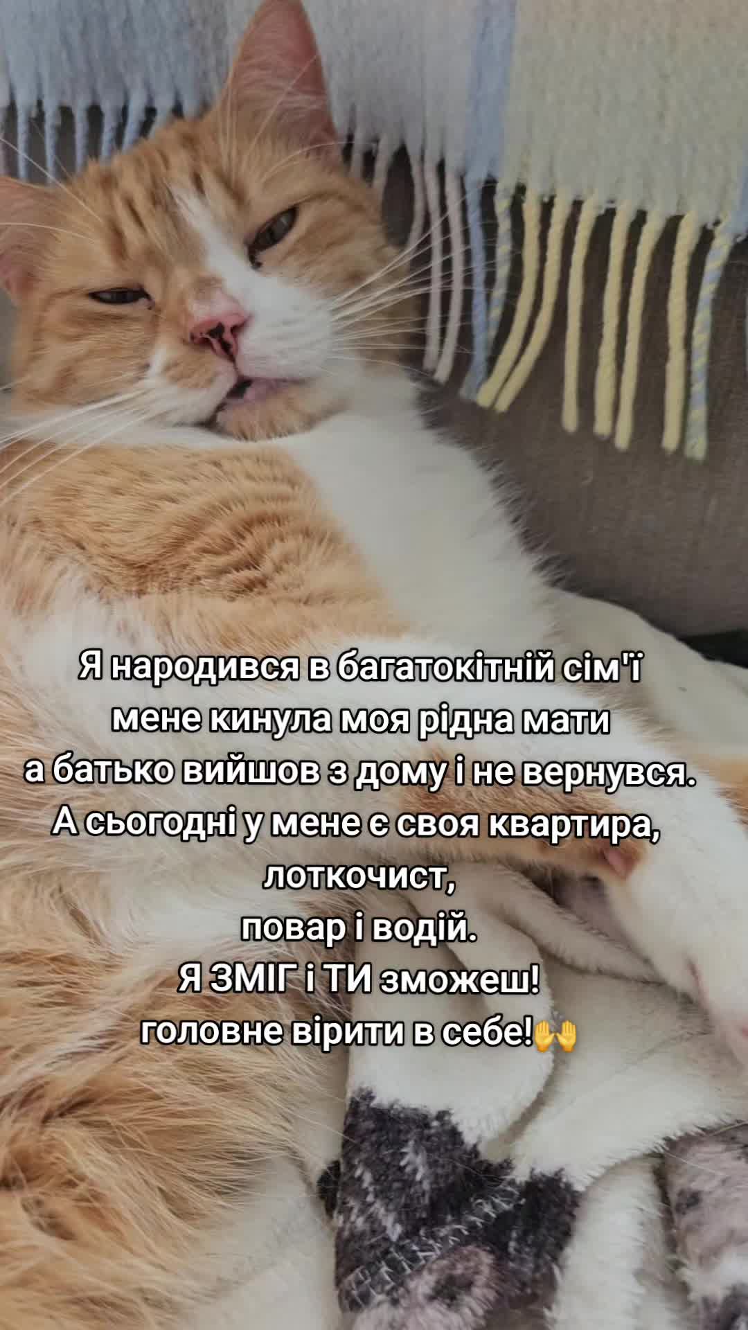 @Vasyl~Havniuk