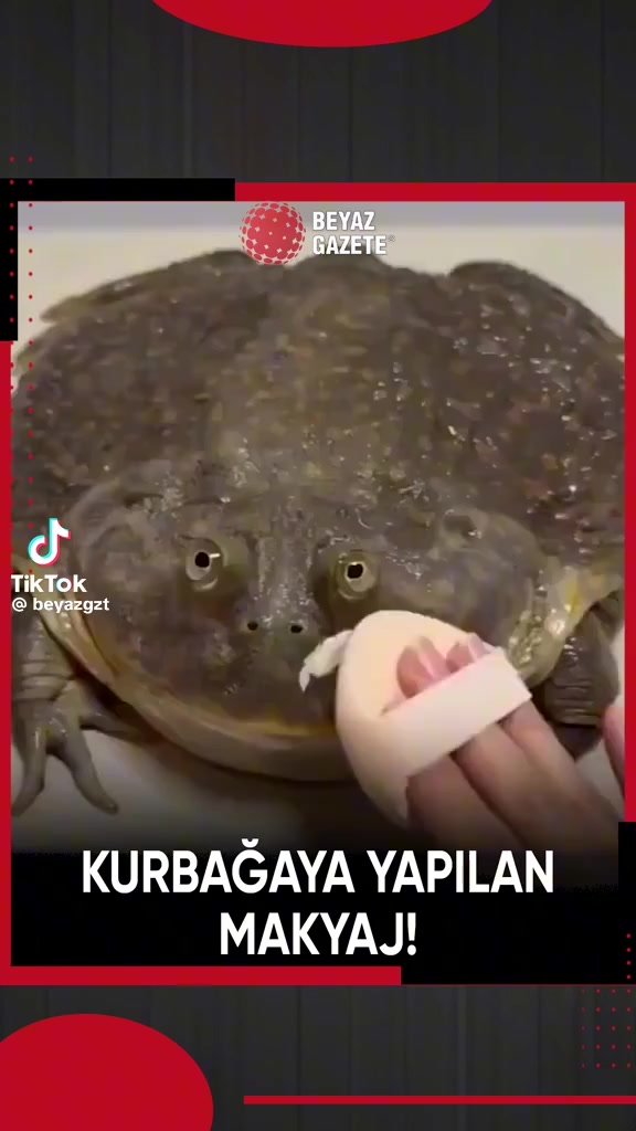 @Kam