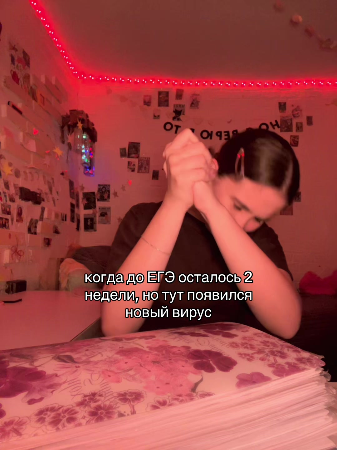 @tgk: ромашки от машки