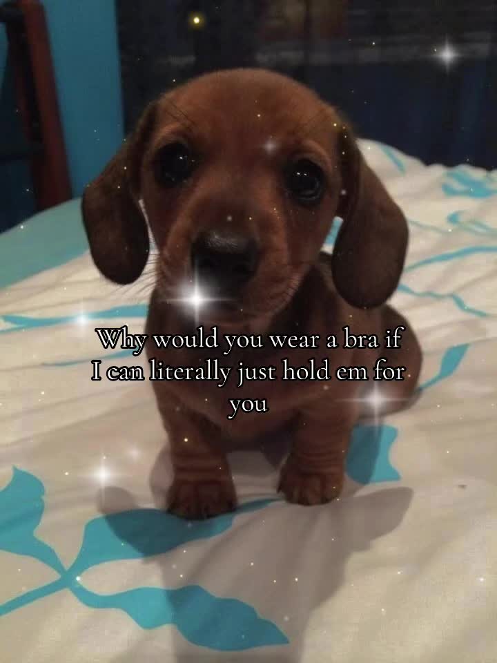 @realestsz0
