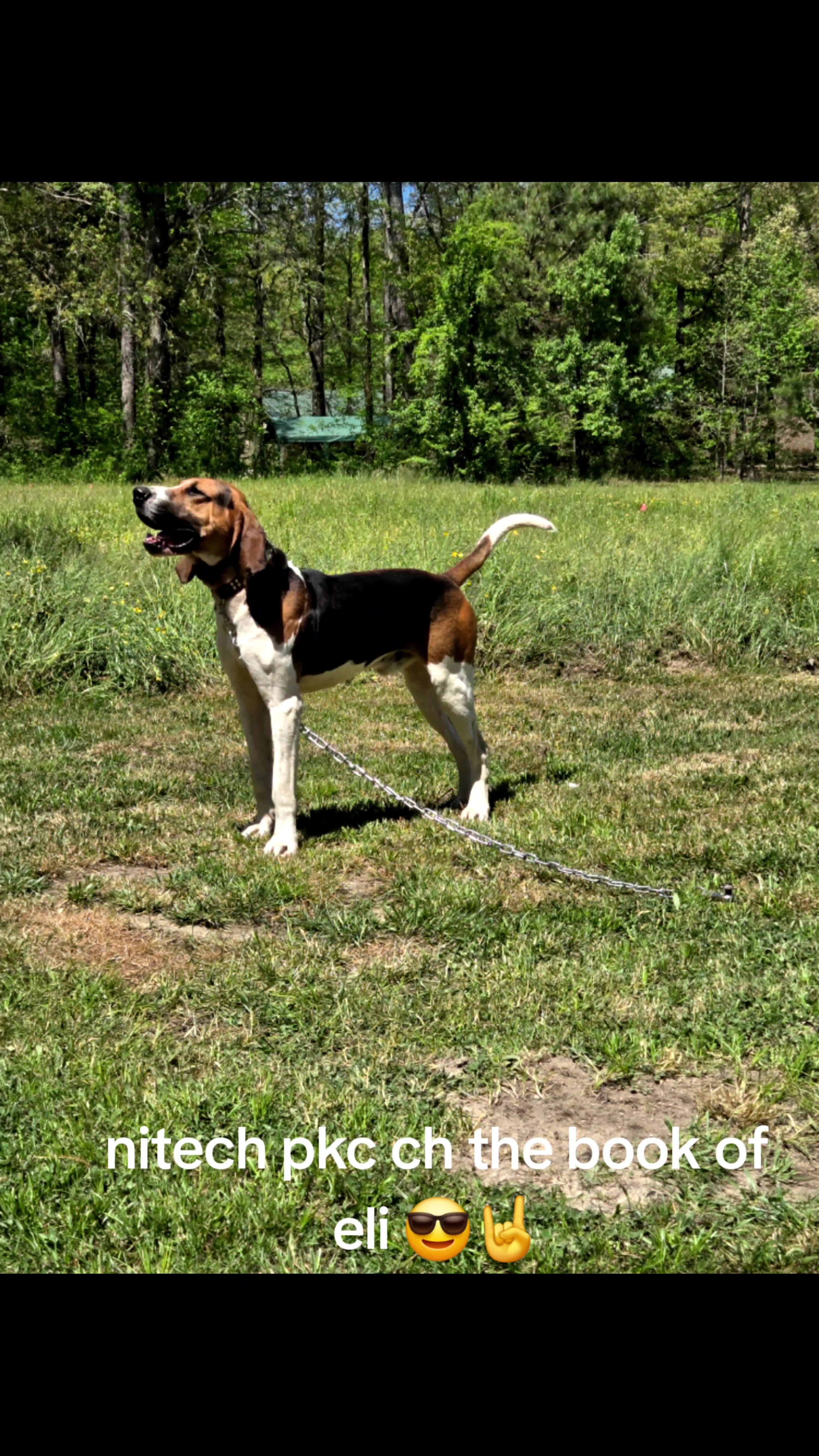 @CoondogWear