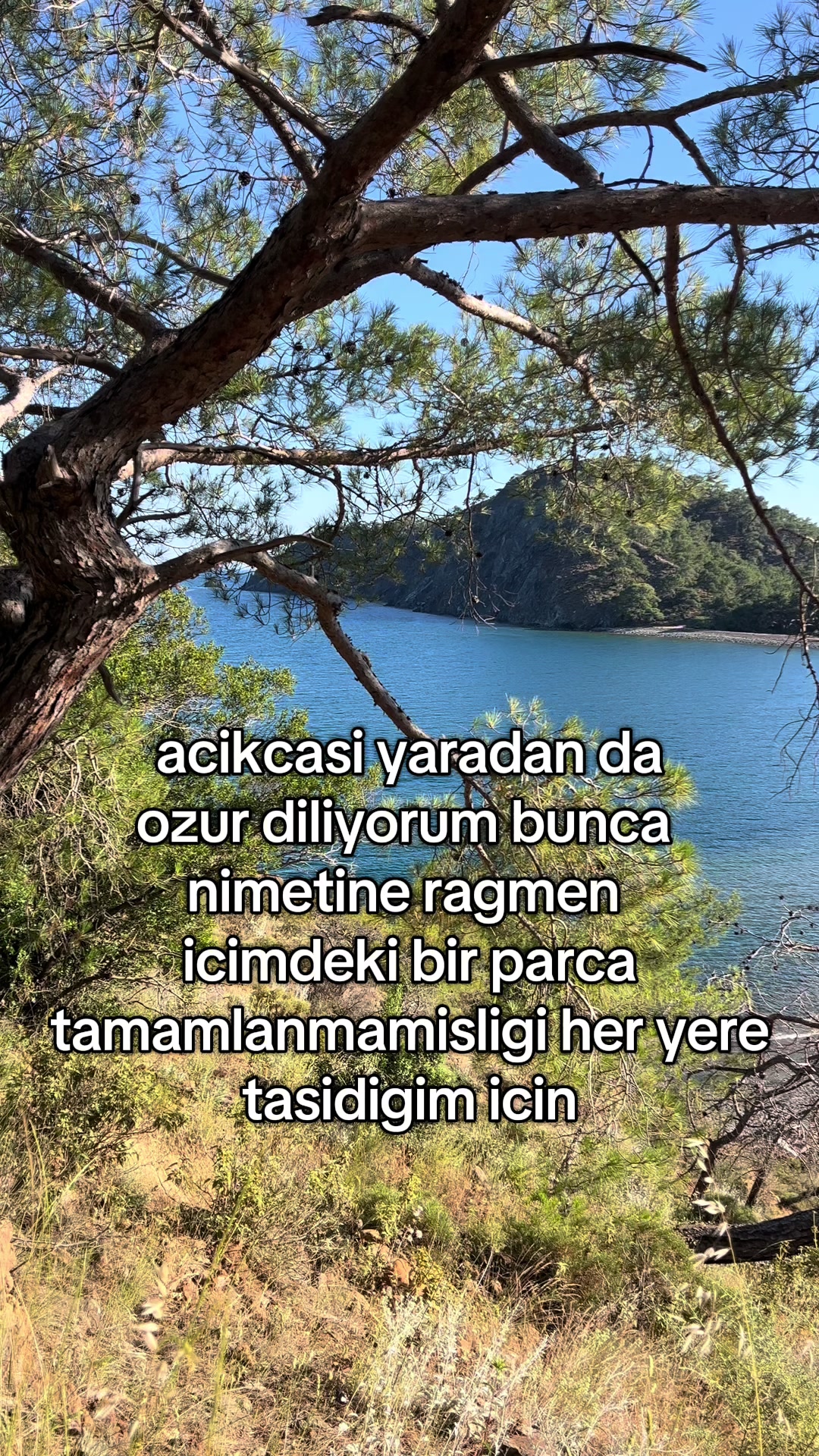 @dt.beyza
