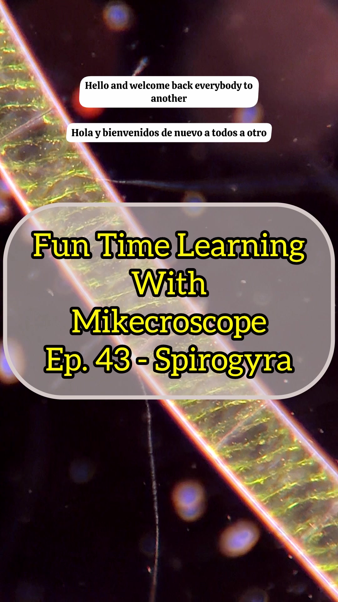 @Mikecroscope