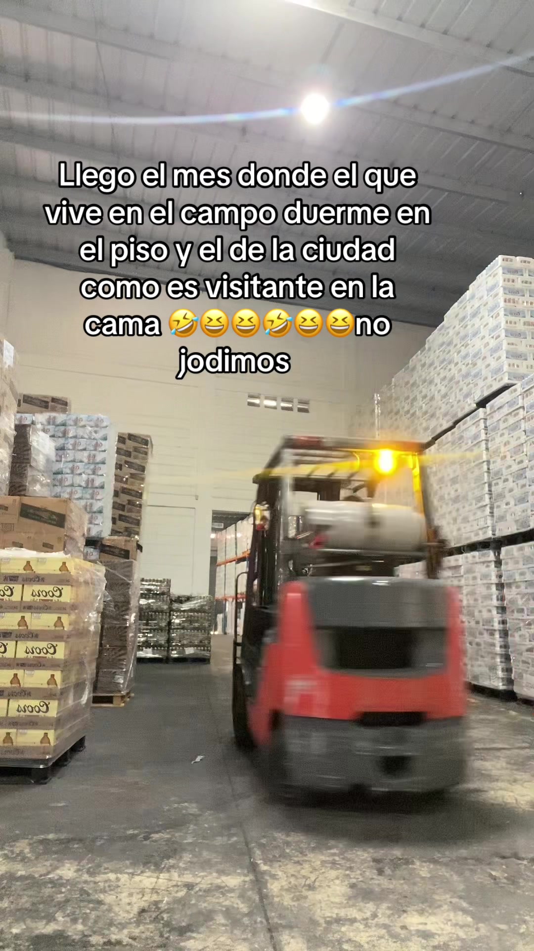 @carlitord240499