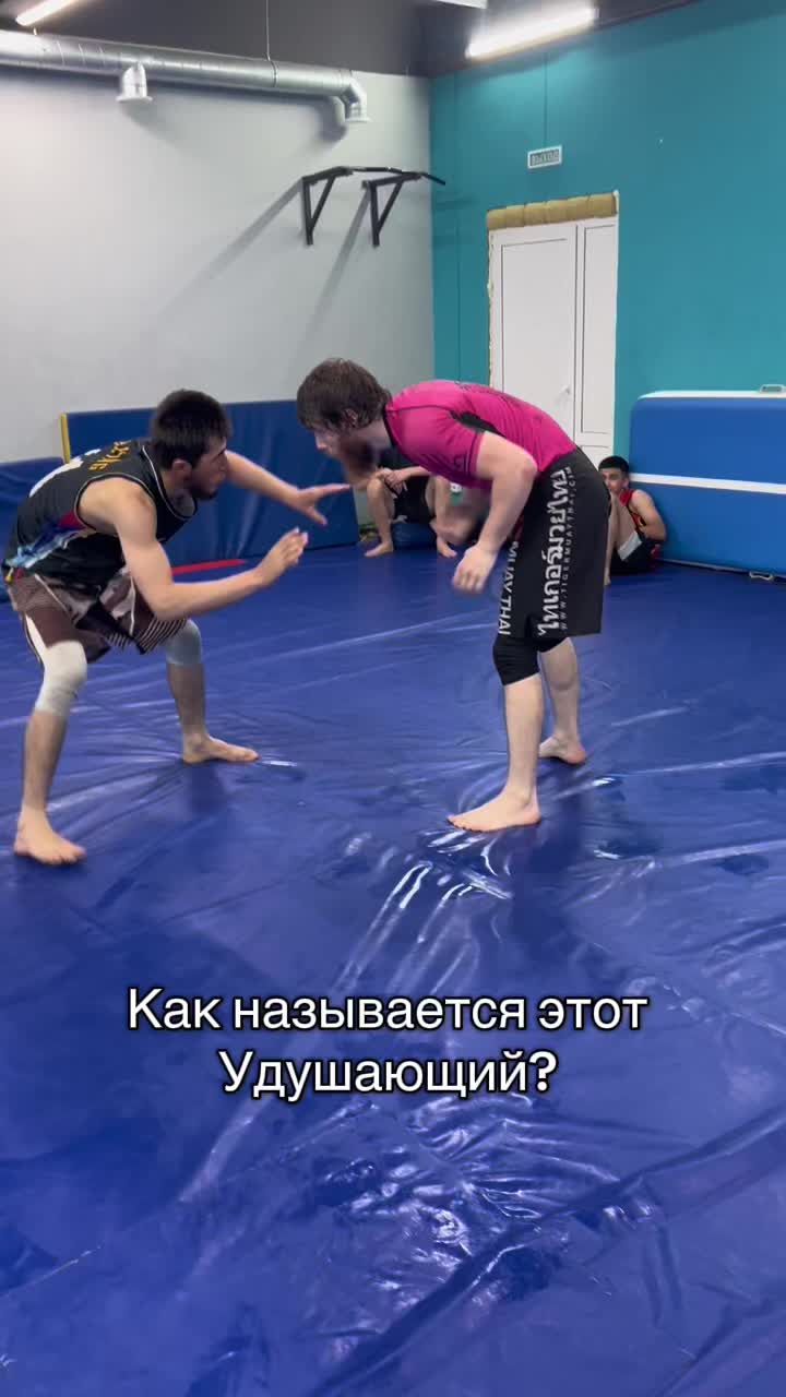 @ABGARYAN_MMA🇦🇲