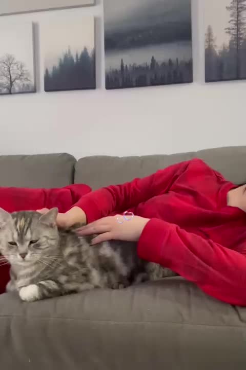 @Momo