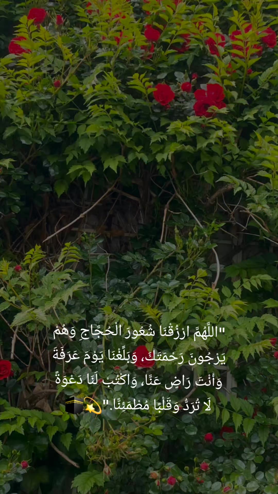@💫🕊نہوُر ألـقرآنہ🕊💫