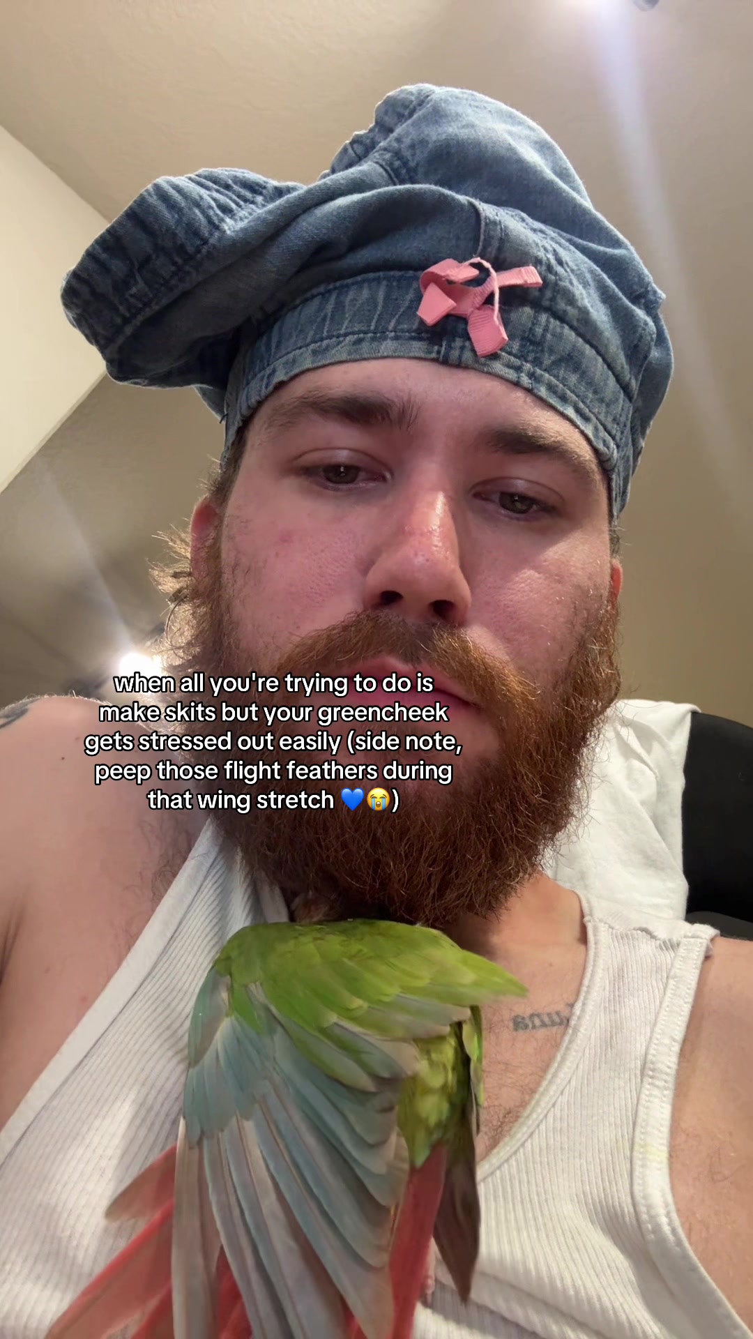 @LITFRANK