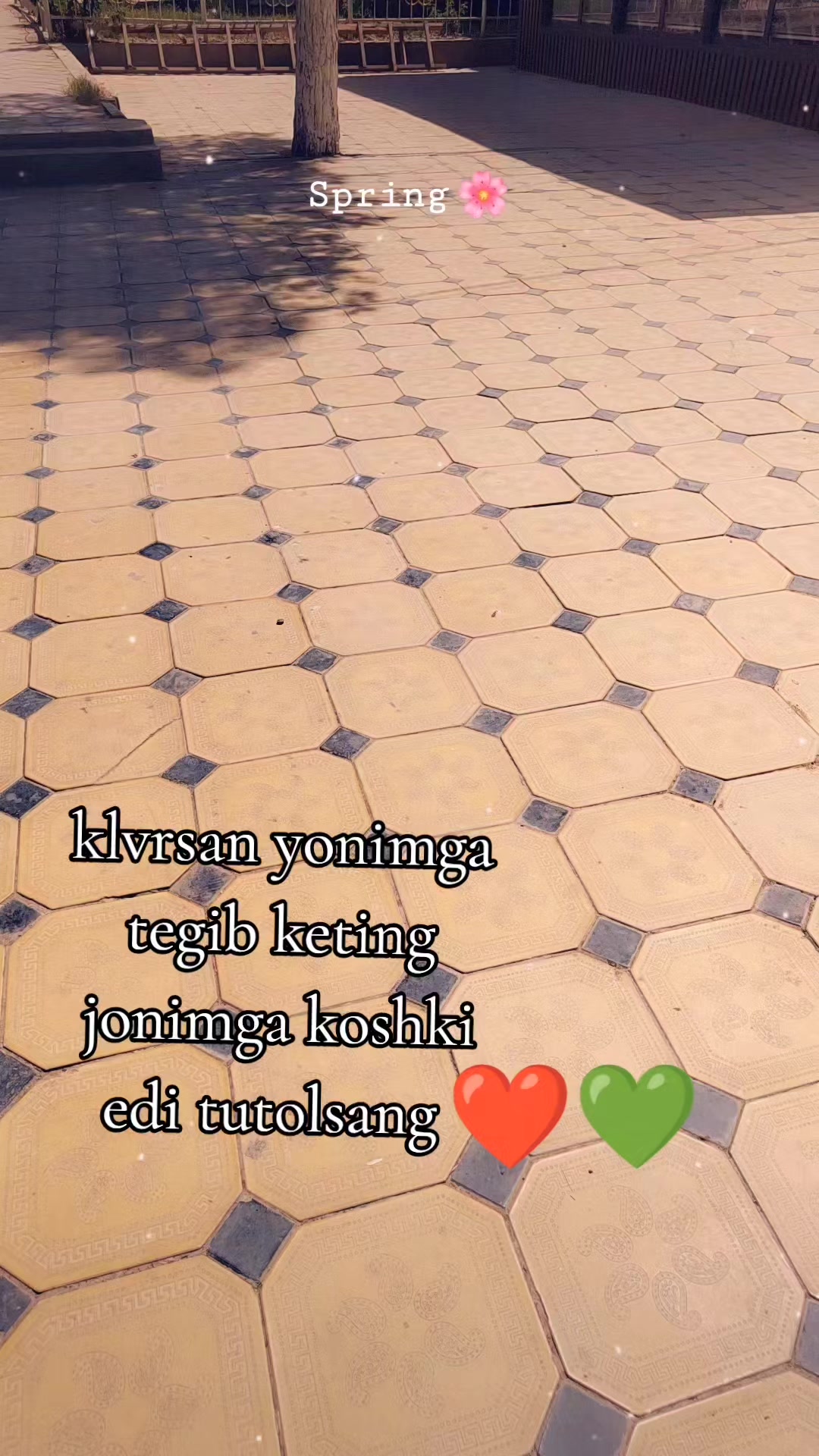 @❤️HUMORA💚❤️