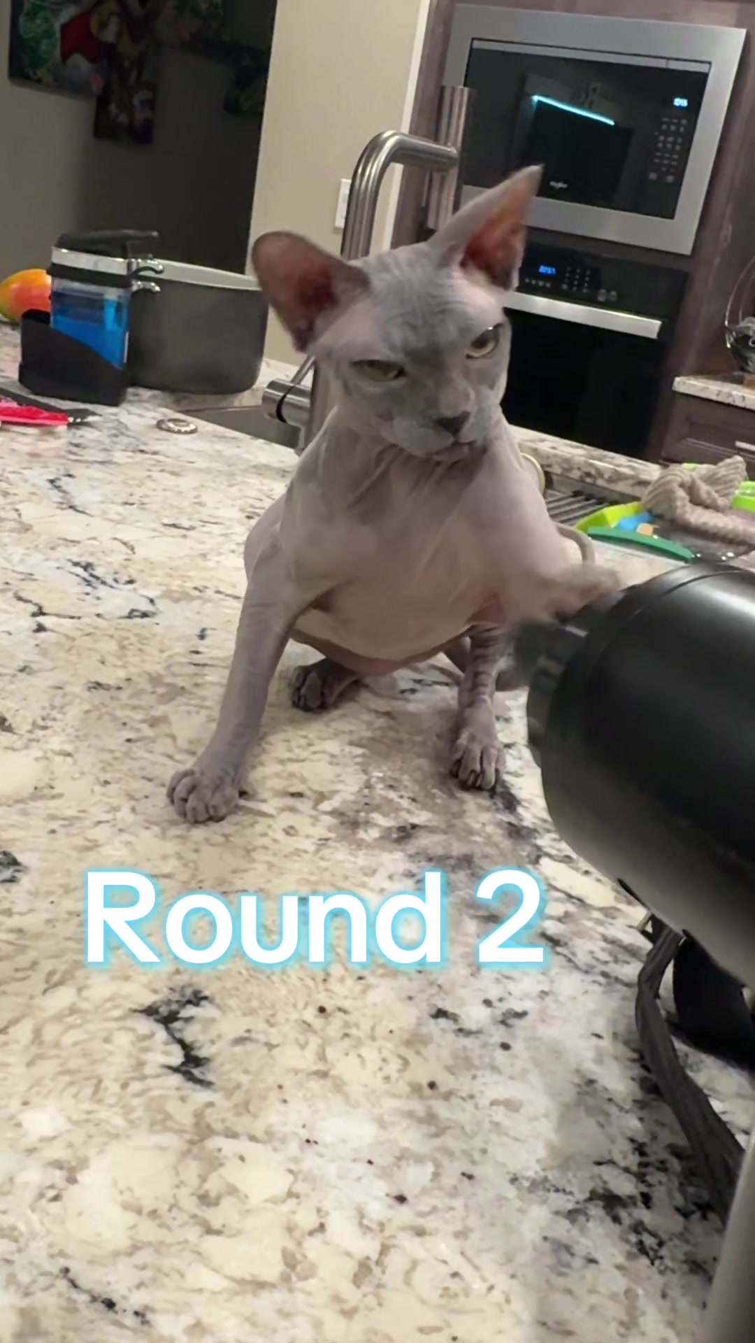 @BomboCats