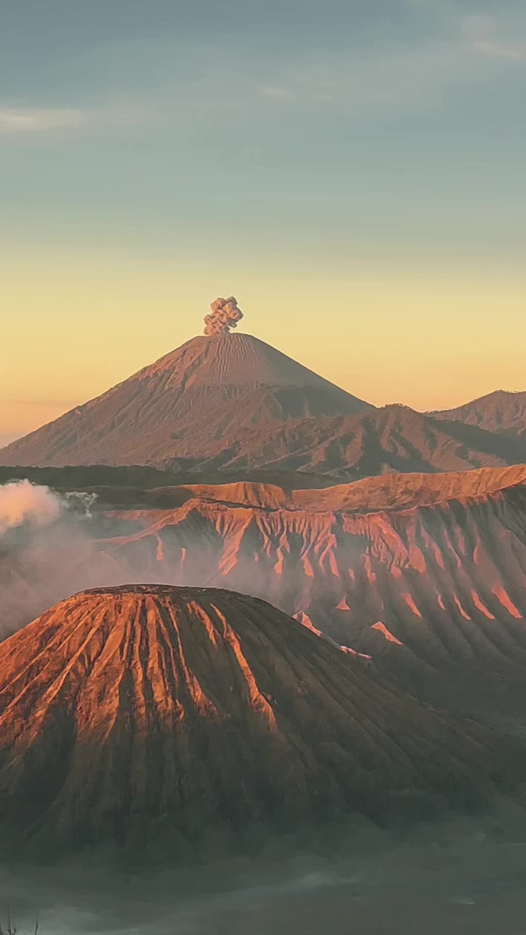 @Tse Tse