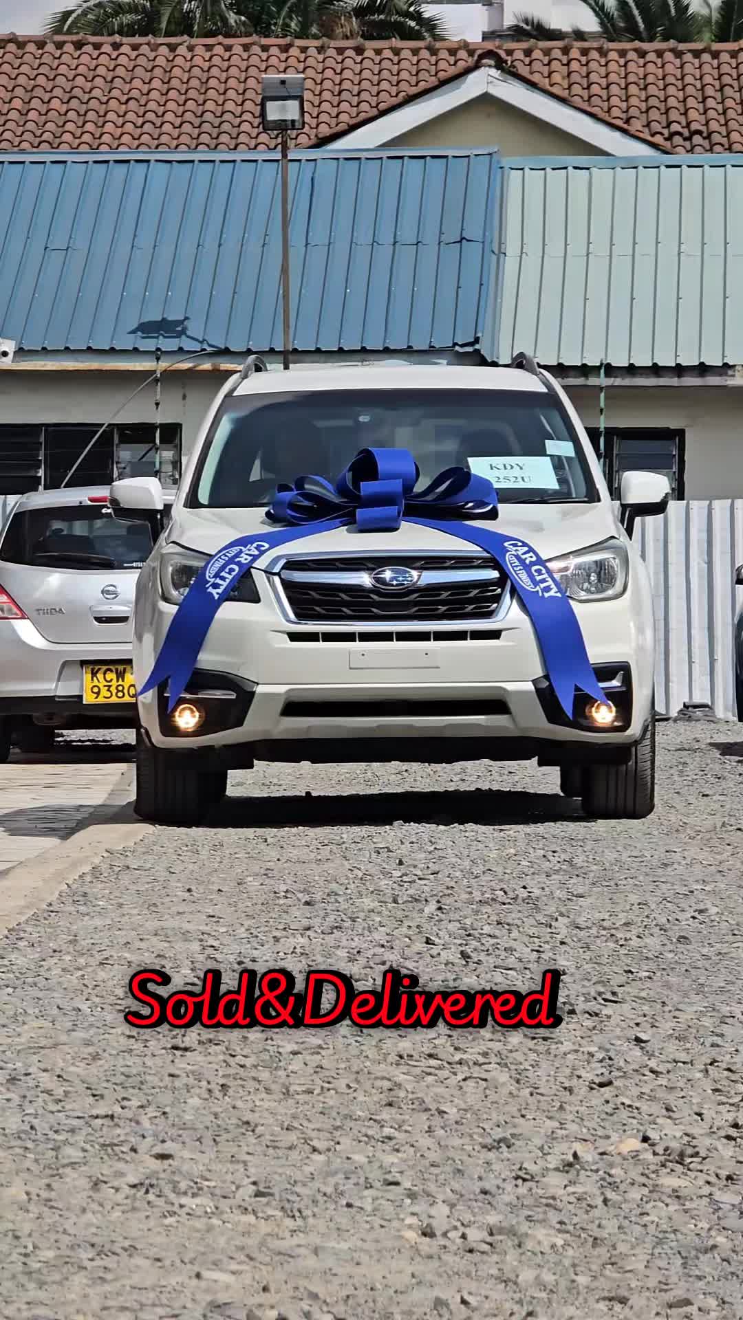 @Car City Limited