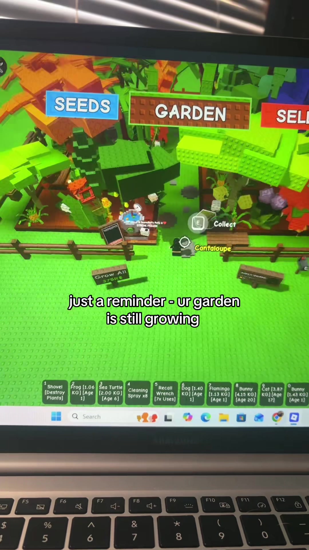 @𝗽𝗮𝘆𝘆