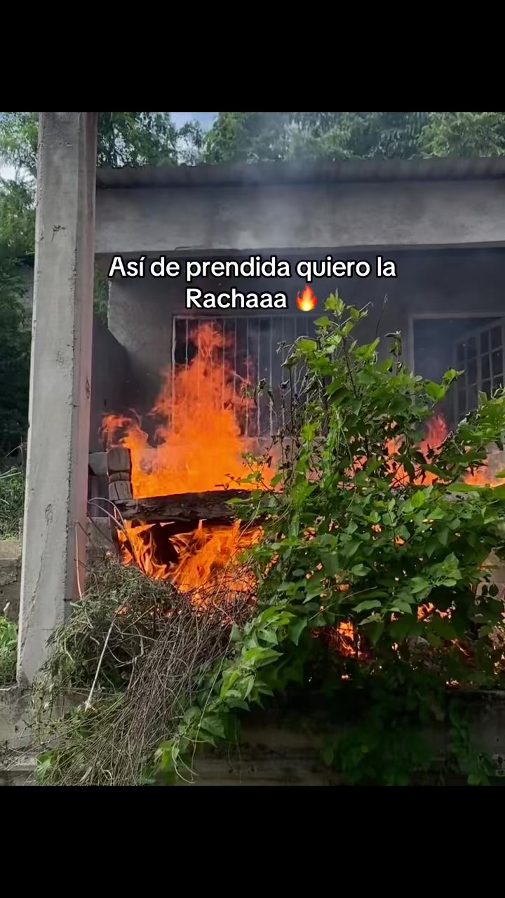 @joana_oficial