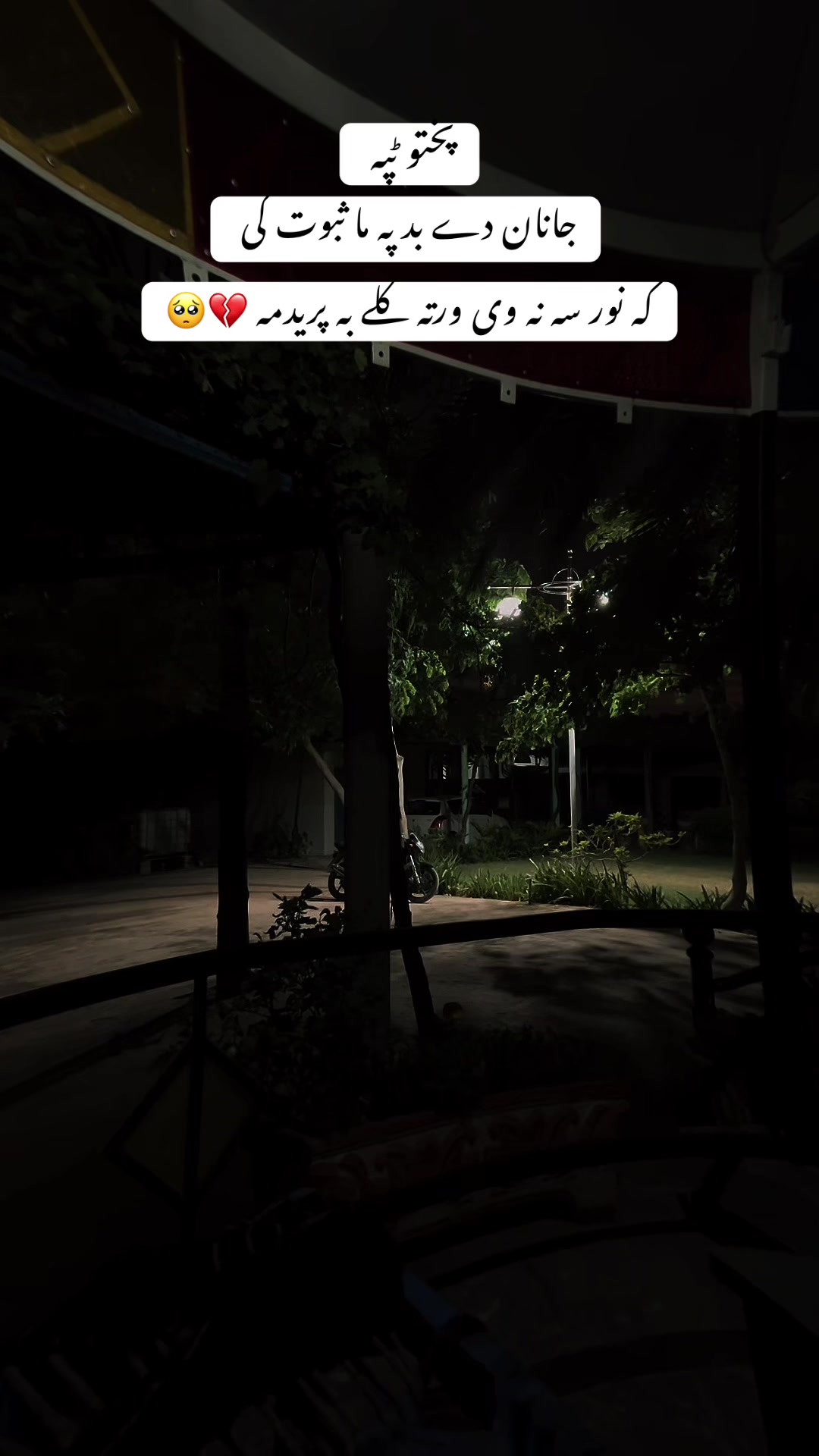 @✨ ملک شجاعت 👑