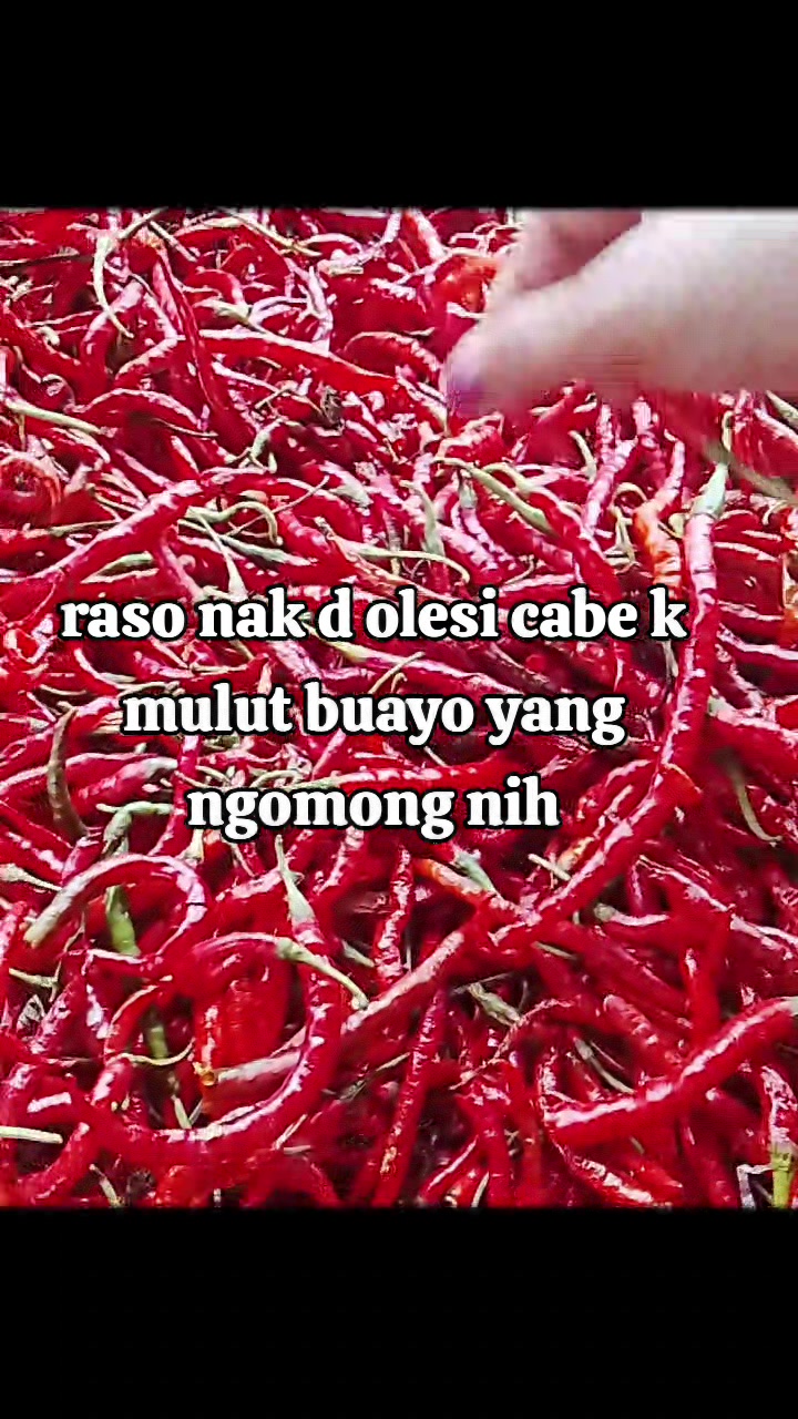 @Reborn_diesel2Gd