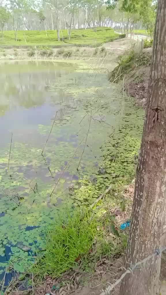 @💝লিপি💝