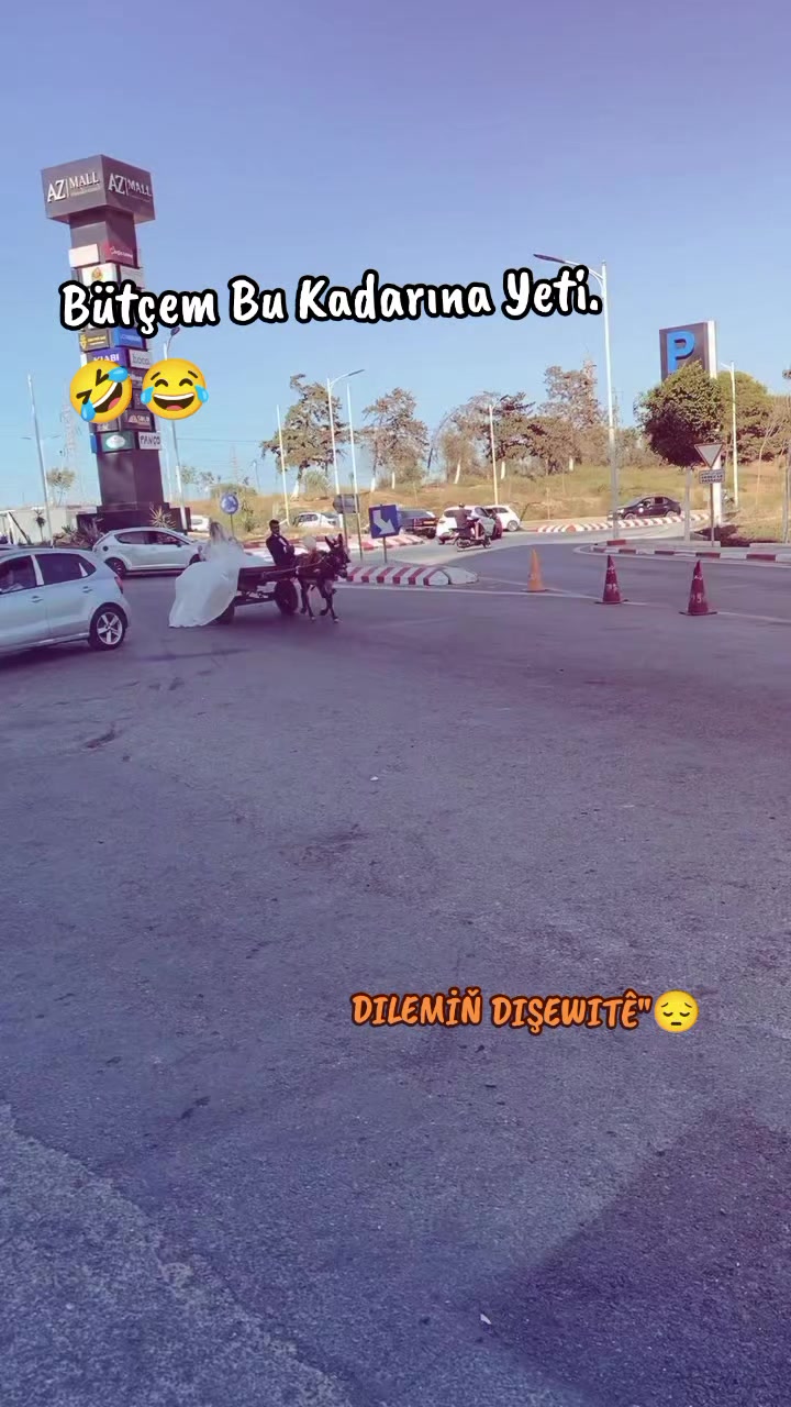 @DILEMİŇ DIŞEWITÊ"😔