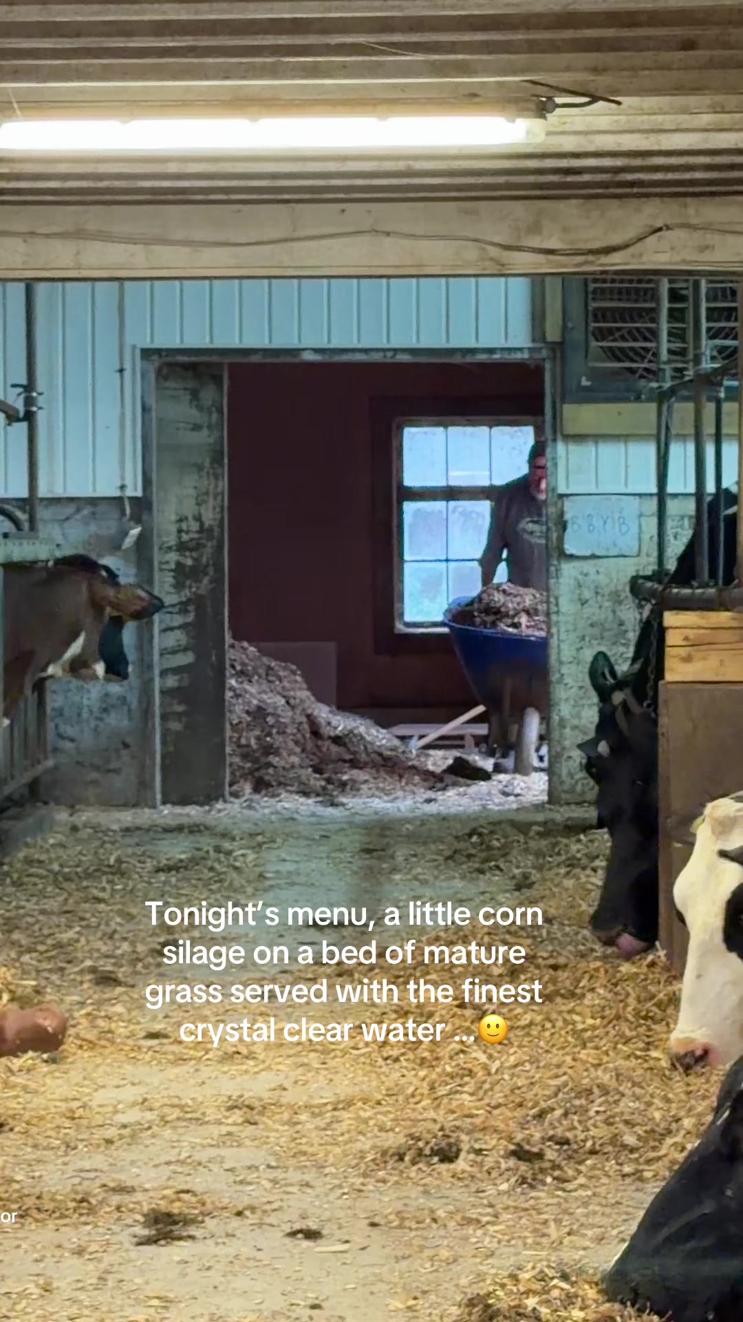 @The  Farmers Wife