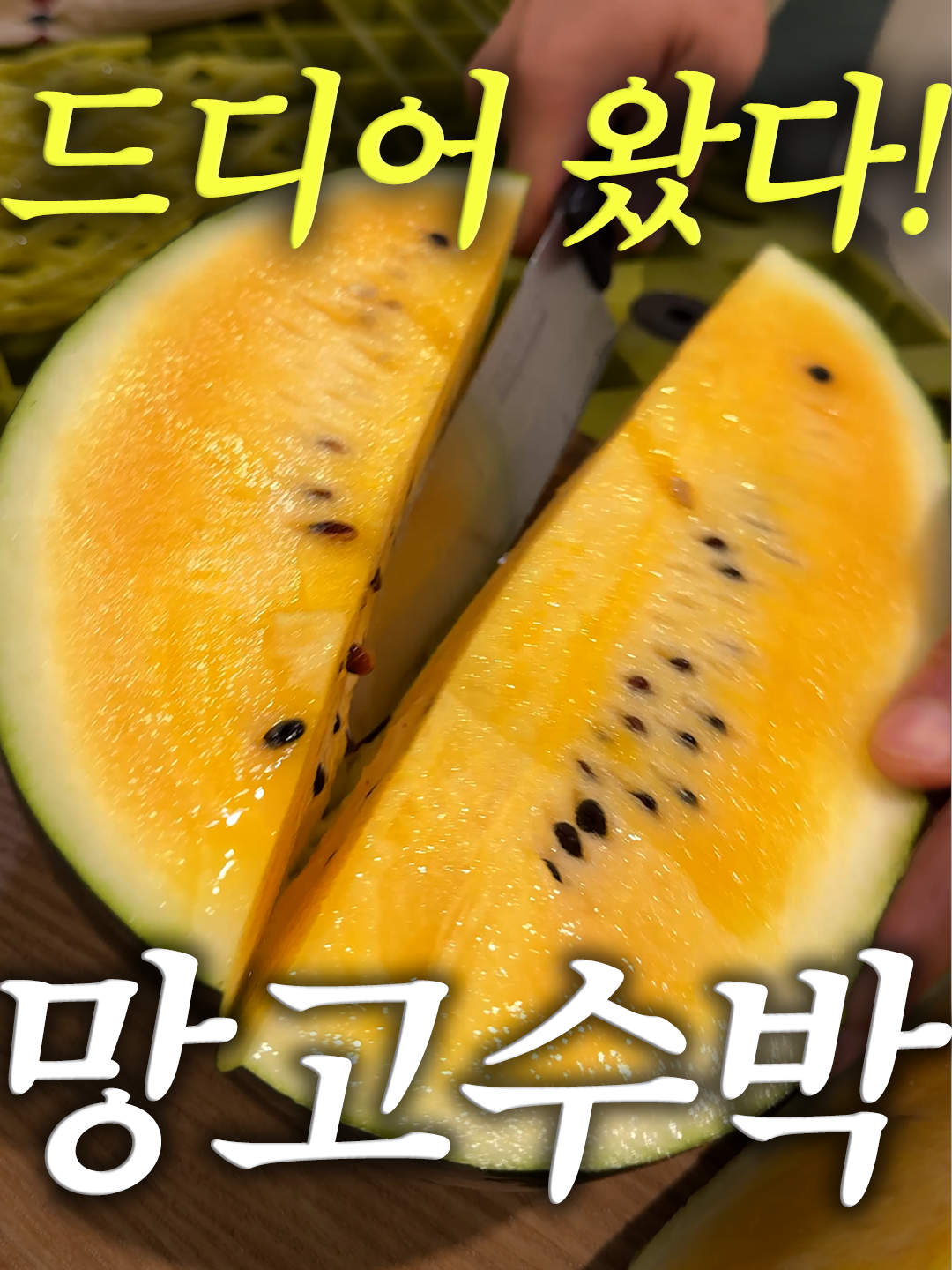 @해운대송사장