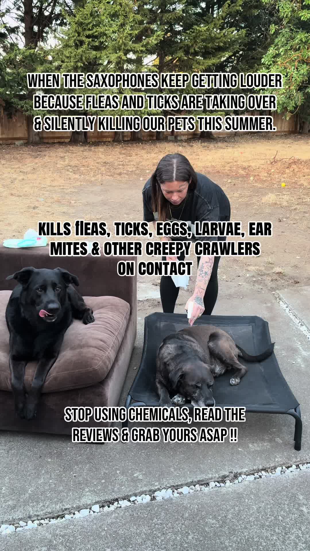 @kai•thedogmother🐾
