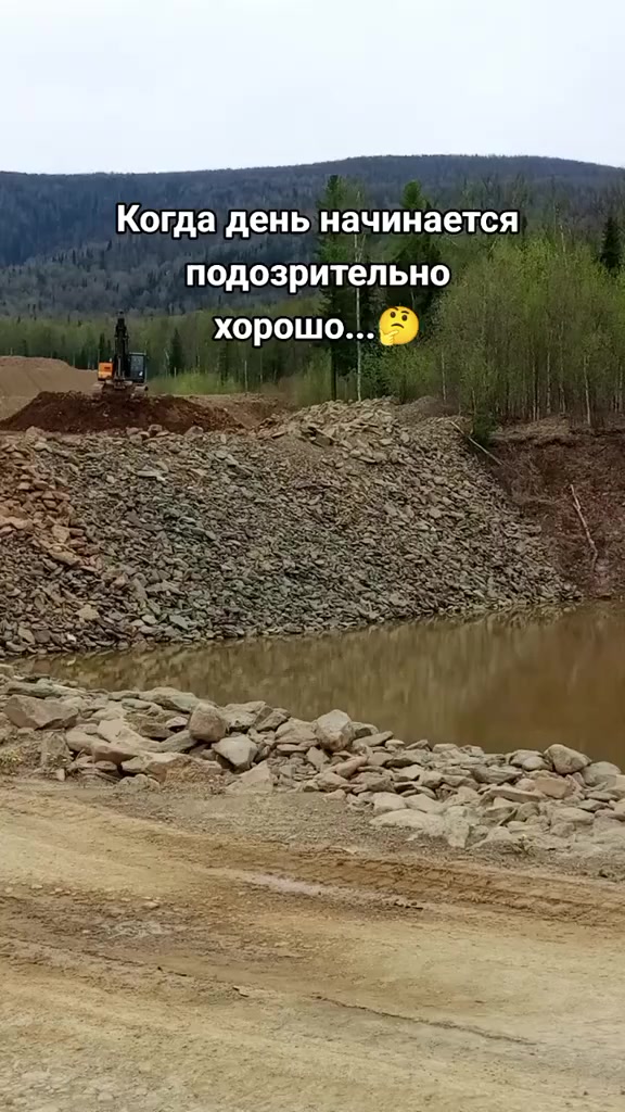 @Мой котик