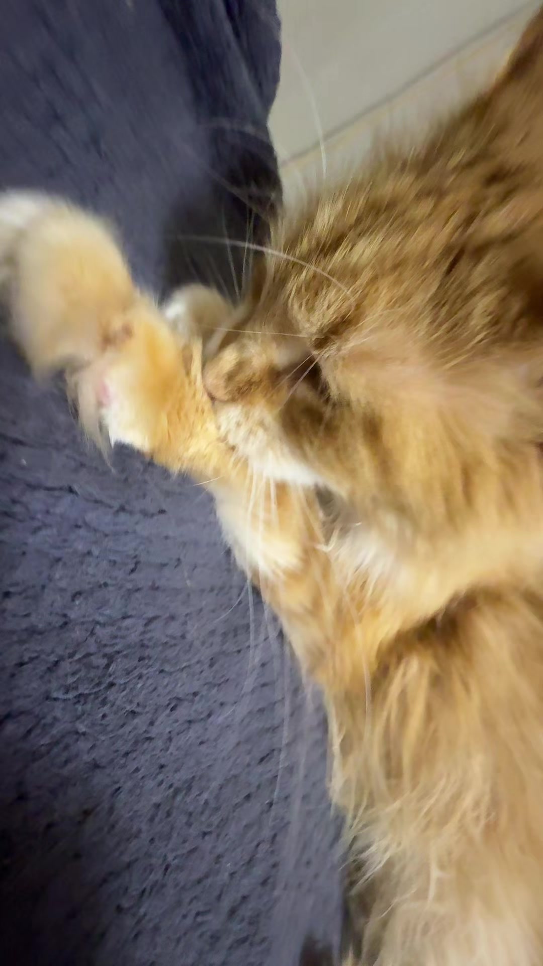 @𝓐𝓵𝓮𝓷𝓪 𝓢𝓮𝓻𝓰𝓮𝓮𝓿𝓷𝓪