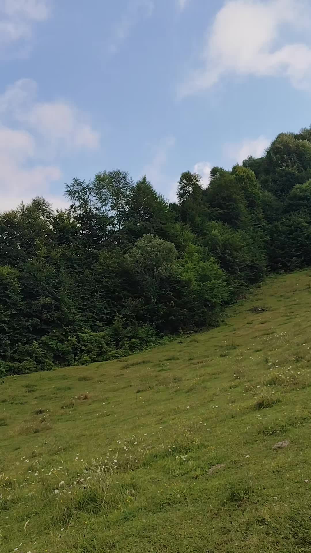 @BİSİKLET&Ccedil;İ