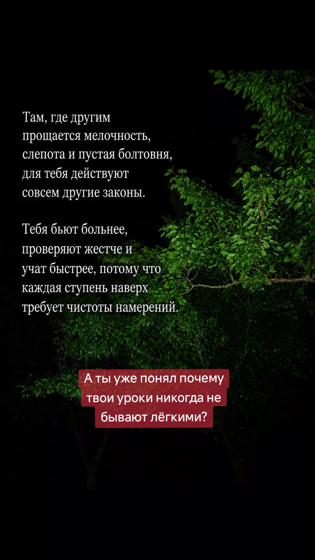 @Графиня де Россохатская