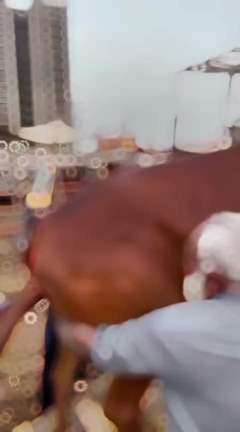 @🙌🫀عمار شیخ 🔥👀
