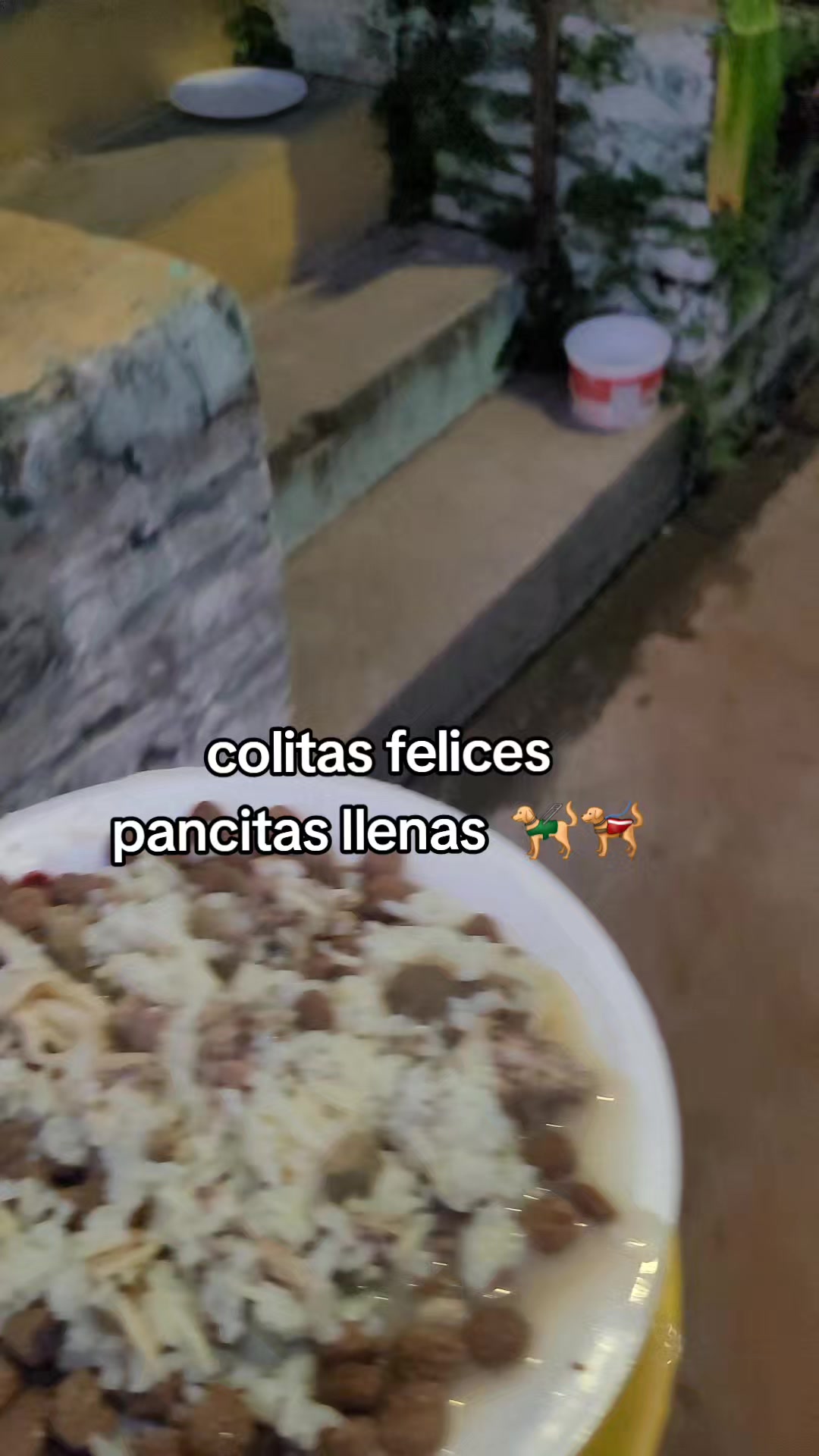@𝕃𝕚𝕤𝕤 ℝ𝕖yes🇸🇻