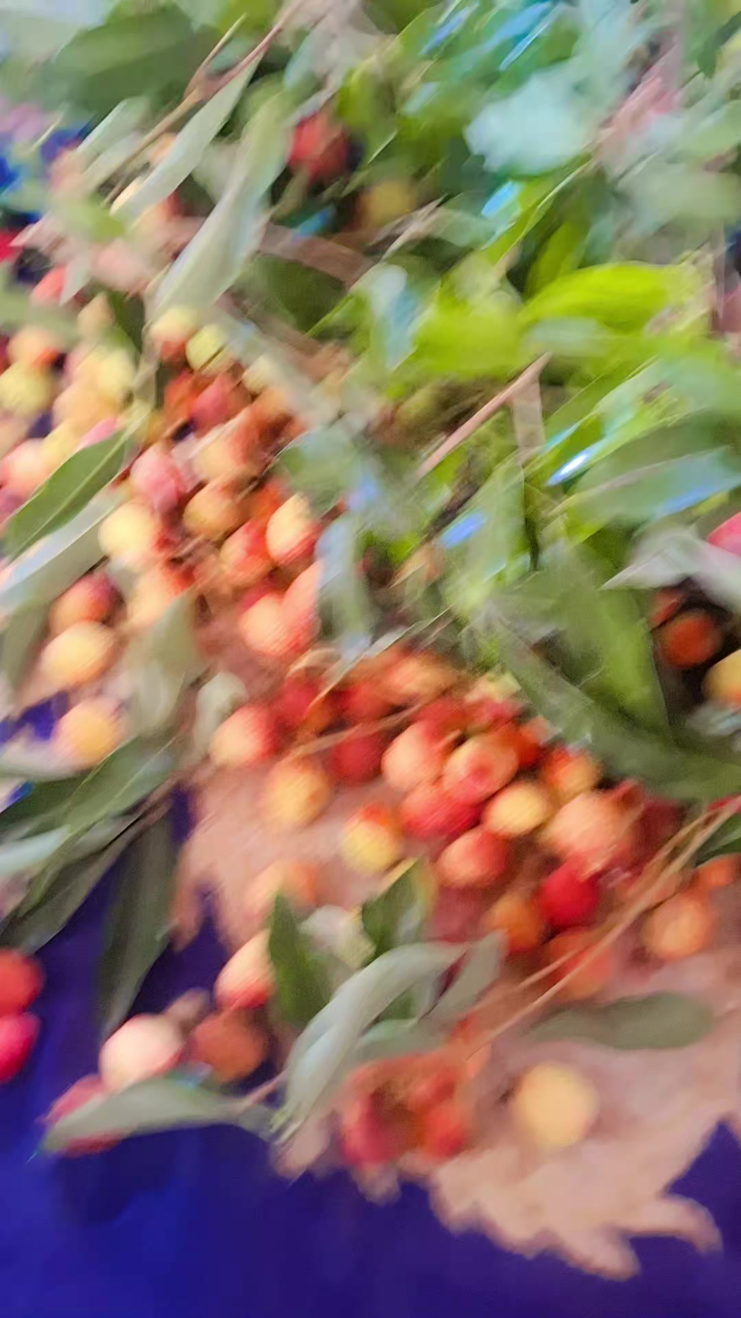 @anitamanandhar4
