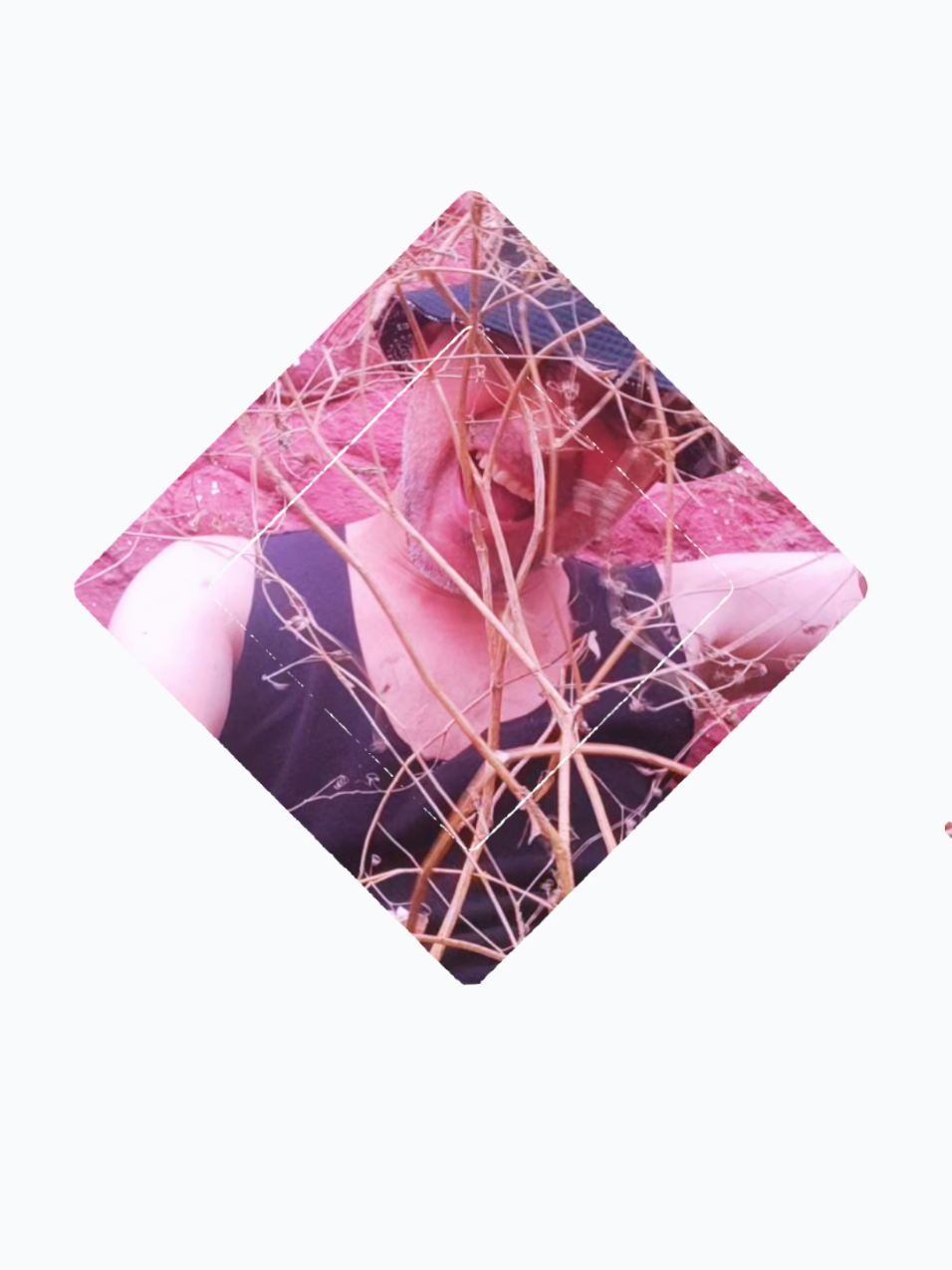 @🧿 @ kelvistuart 📲#Sigueme