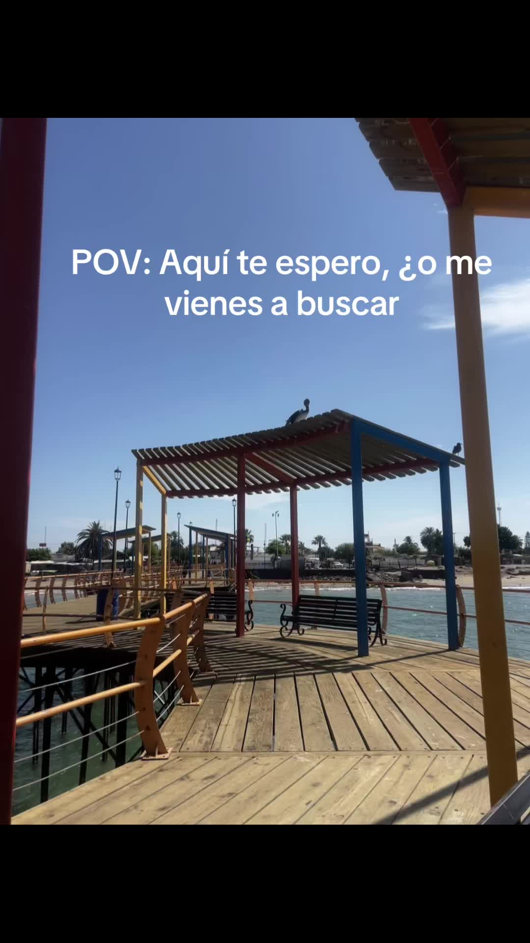 @vagancia365