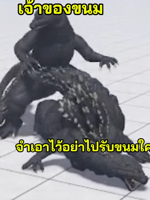 @cat
