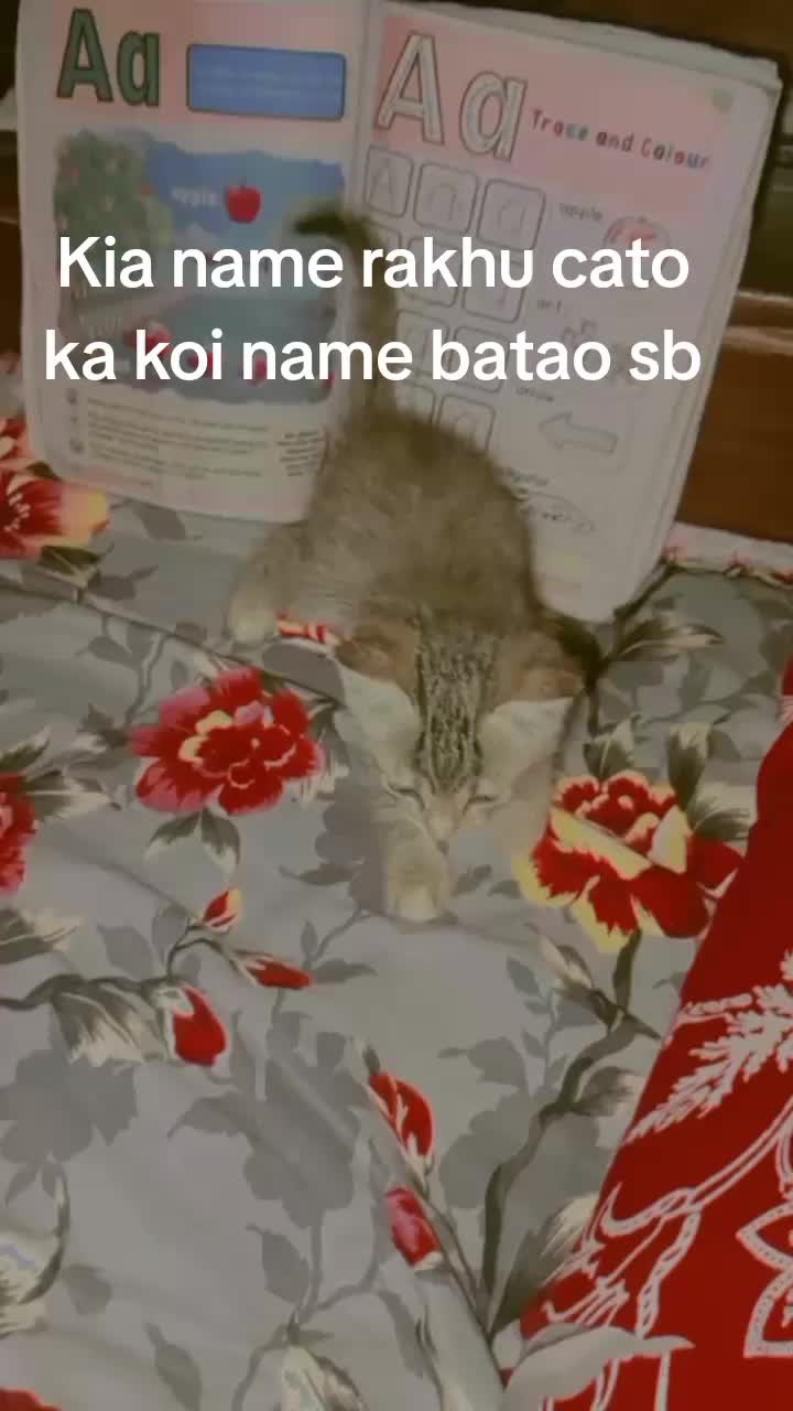 @mano9