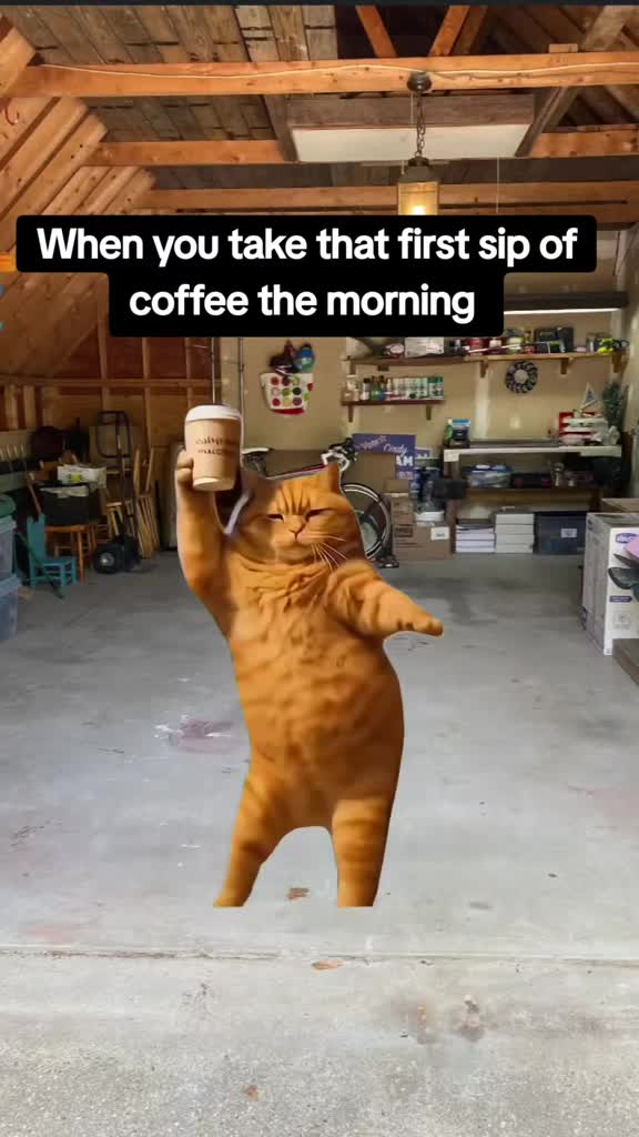 @funnystuff