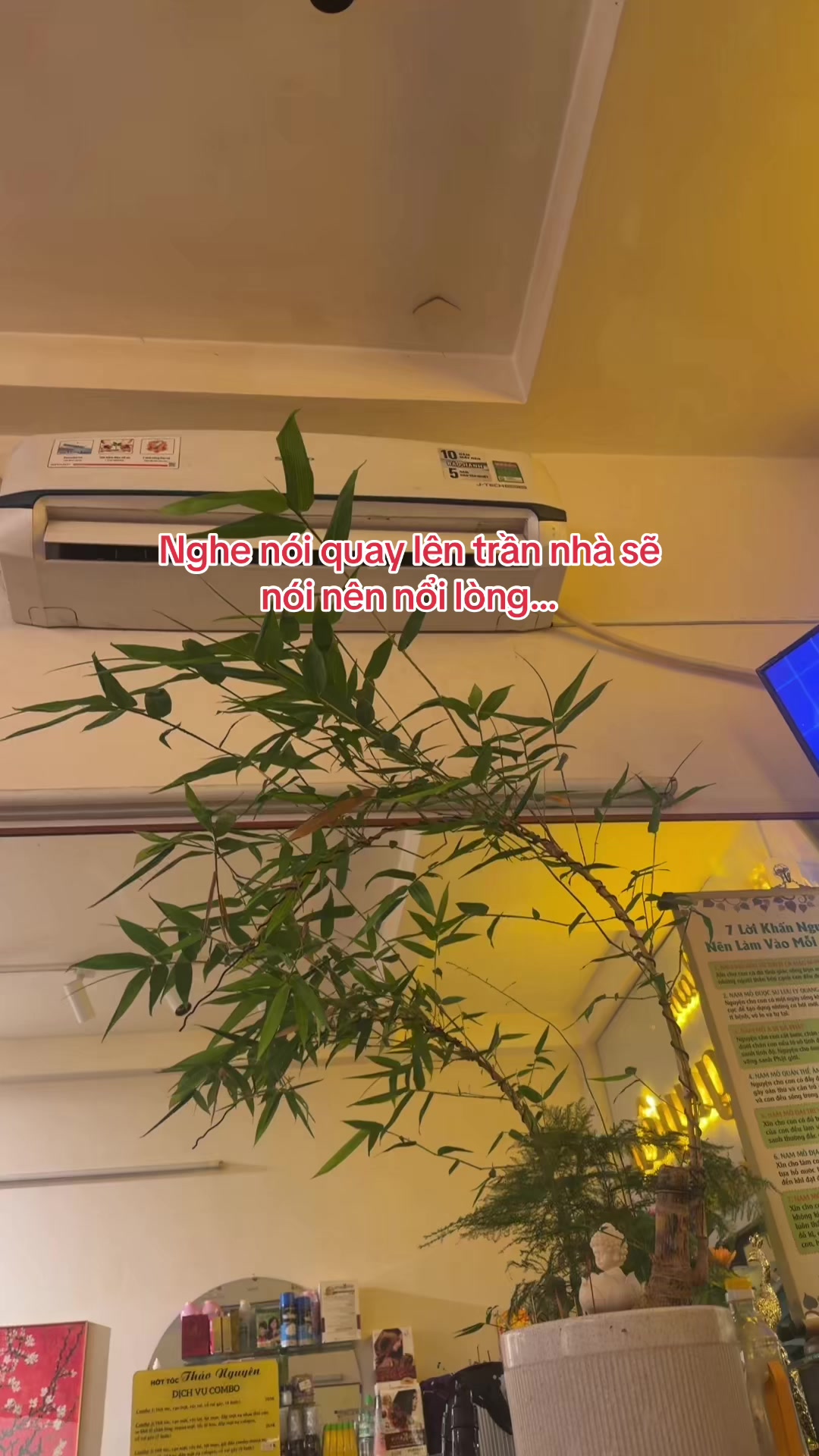 @HỚT TÓC NAM THẢO NGUYÊN Q4