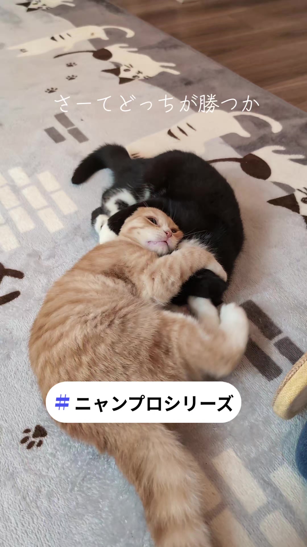 @りょうた
