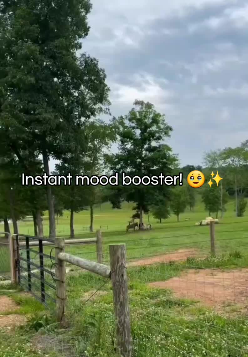 @Beautiful Vibes