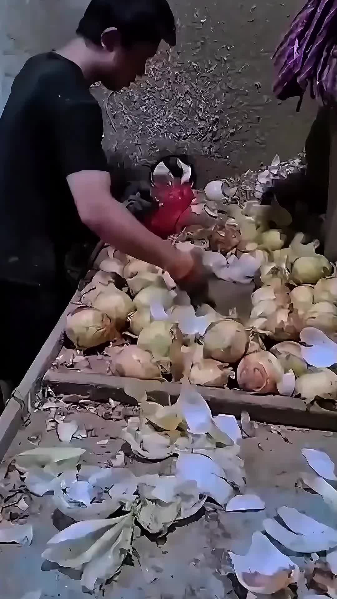 @𝙇𝙞𝙛𝙚 𝙃𝙖𝙘𝙠𝙨💡